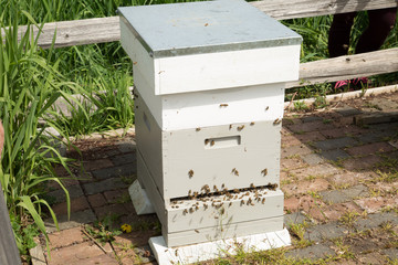 White beehive with bees on the front