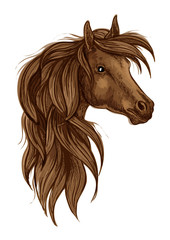 Brown arabian horse head isolated sketch