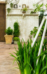 Relaxing area in cozy home./ Beauty and relaxing garden with flower pot in cozy home on summer.
