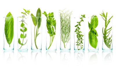 Close Up bottles of essential oils with fresh herbs . Sage, rose