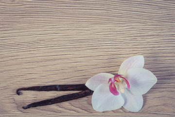 Fototapeta na wymiar Vintage photo, Blooming orchid and fragrant vanilla sticks, copy space for text