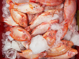 Fresh fish at the market,Thailand