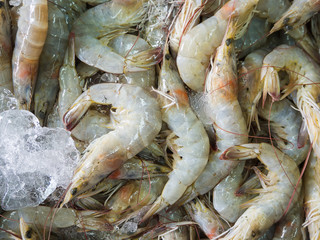 Closeup Fresh shrimp at the market,Thailand