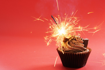 chocolate cupcake with chocolate butter cream swirl