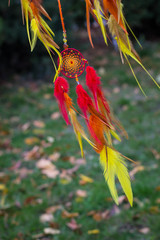 photo of a dreamcatcher made by hand