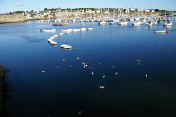 Concarneau (Fr.) harbour 2008