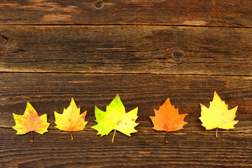 autumnal plane leaves on old boards