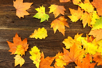 Colorful autumn leaves on an old wooden background