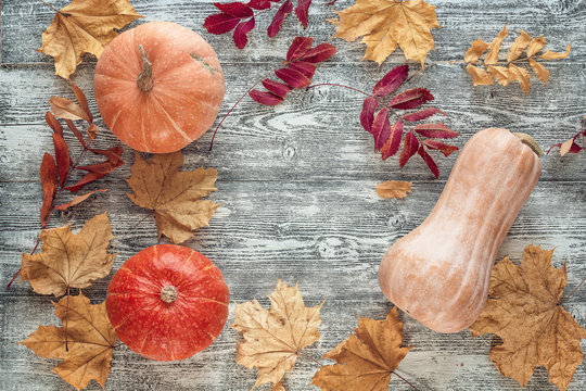Background with pumpkins and autumn leaves on gray wooden boards