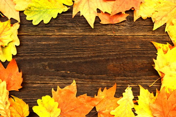 Naklejka na ściany i meble Colorful autumn leaves on an old wooden background