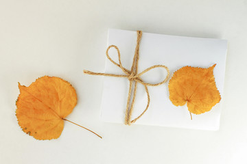 

Autumn-theme stationery. Paper note with twine bow, dried yellow autumnal leaves. 
