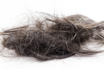 hair fall, hair cut
