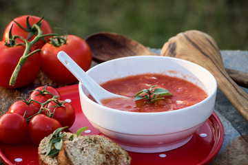 Tomatensuppe n weißer Schüssel mit Basilikum 