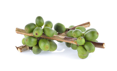 coffee seeds on white background