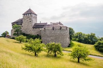 Fototapeta na wymiar Vaduz Castle, Liechtenstein