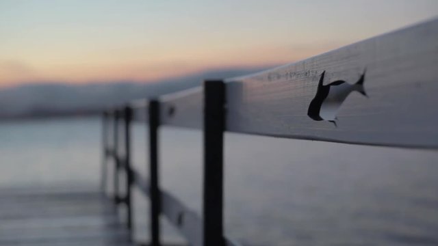 Dock at sunset, CU wooden railing with fish carving, Rio De Janeiro, Brazil, 