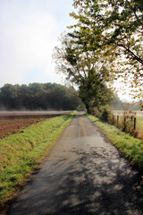 Fototapeta na wymiar Route de campagne en automne.