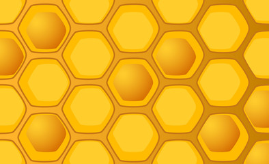 Honeycomb vector illustration with full and empty combs