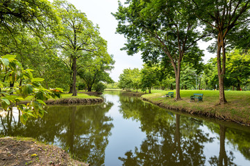 Fototapeta na wymiar Landscape in city park with lake