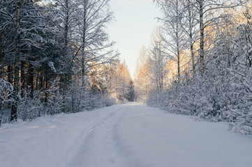 Snowbound countryside road in scenic forest