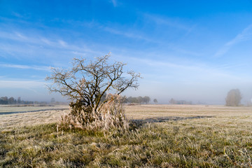 Jesienny poranek © podlaski49