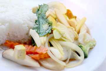 Stir Fried Tofu in Chinese Style,Deep Fried Tofu with Gravy Sauce ,Stir fried tofu with mixed vegetables in white plate on white background. Vegetarian Food, healthy food.