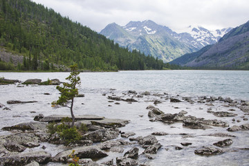 Multinskoe lake, Altai mountains