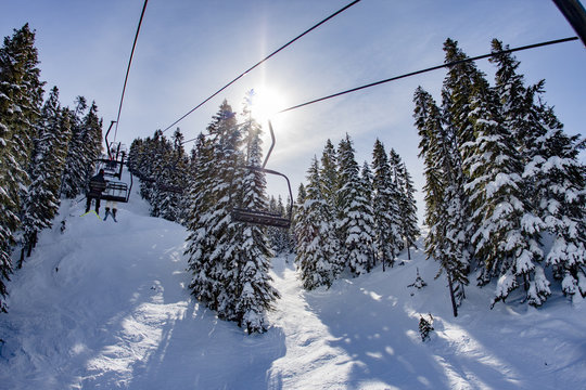 Sunrays Through Trees Mountain Ski Resort Chair Lift