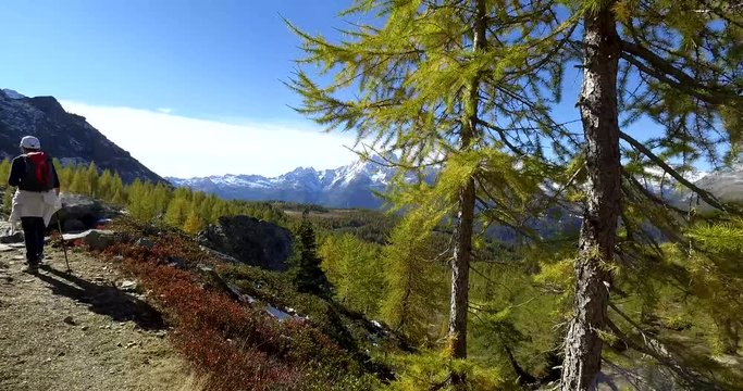 Trekking in alta montagna - Valmalenco_ Italy 
