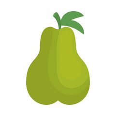 pear fresh fruit isolated icon vector illustration design