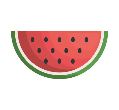 watermelon fresh fruit isolated icon vector illustration design
