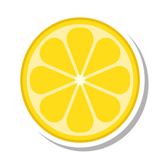 orange citrus fruit isolated icon vector illustration design