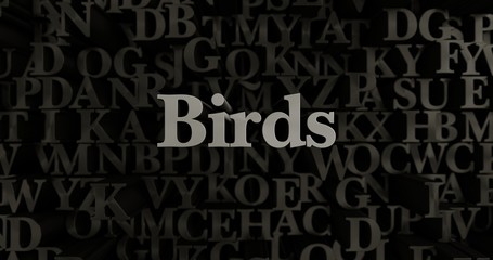 Birds - 3D rendered metallic typeset headline illustration.  Can be used for an online banner ad or a print postcard.