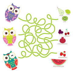 set bright colorful owls with fruits and berries on white background. labyrinth game for Preschool Children. Vector