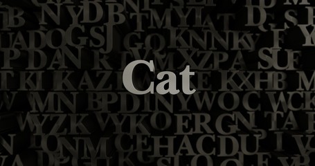 Cat - 3D rendered metallic typeset headline illustration.  Can be used for an online banner ad or a print postcard.