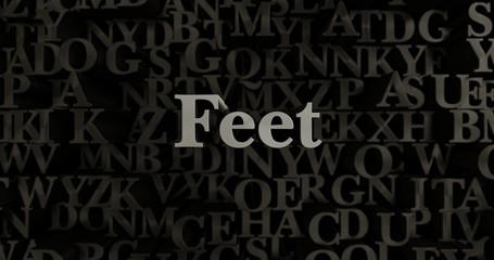 Feet - 3D rendered metallic typeset headline illustration.  Can be used for an online banner ad or a print postcard.