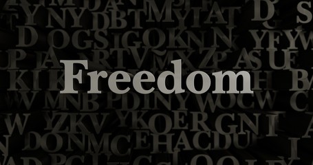 Freedom - 3D rendered metallic typeset headline illustration.  Can be used for an online banner ad or a print postcard.