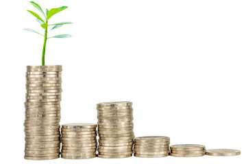 Investment concept, Coins graph stock market on white background.