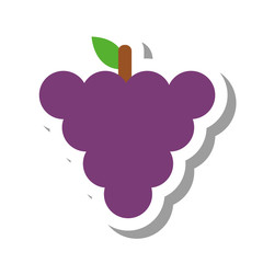 grapes healthy fruit icon vector illustration design