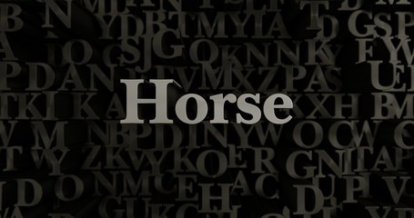 Horse - 3D rendered metallic typeset headline illustration.  Can be used for an online banner ad or a print postcard.