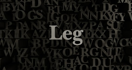 Leg - 3D rendered metallic typeset headline illustration.  Can be used for an online banner ad or a print postcard.