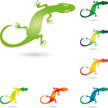 Echse, Salamander, Gecko, Tier, Logo