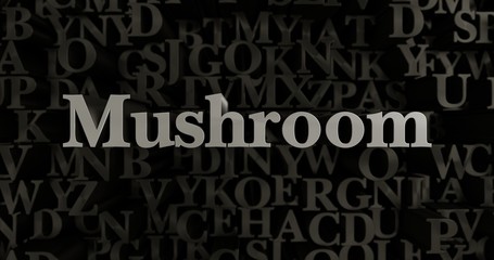 Mushroom - 3D rendered metallic typeset headline illustration.  Can be used for an online banner ad or a print postcard.