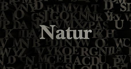 Natur - 3D rendered metallic typeset headline illustration.  Can be used for an online banner ad or a print postcard.