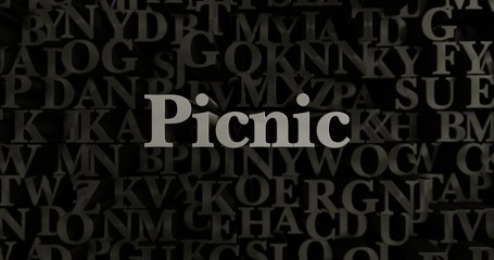 Picnic - 3D rendered metallic typeset headline illustration.  Can be used for an online banner ad or a print postcard.