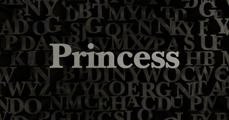 Princess - 3D rendered metallic typeset headline illustration.  Can be used for an online banner ad or a print postcard.