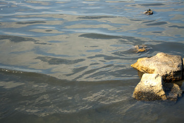 The seashore, sky, rocks