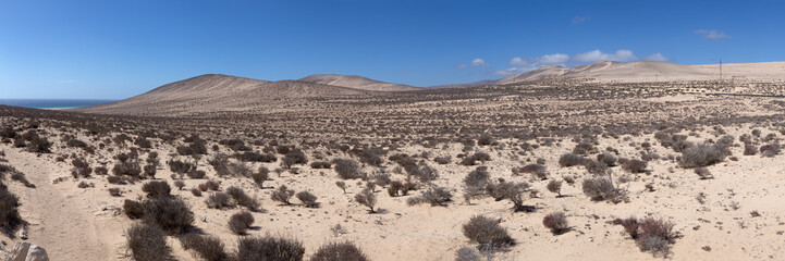 dry sandy landscape with dead bushes