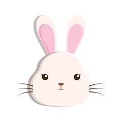 cute rabbit isolated icon vector illustration design