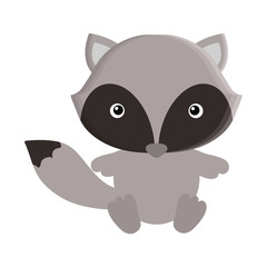 cute raccoon isolated icon vector illustration design